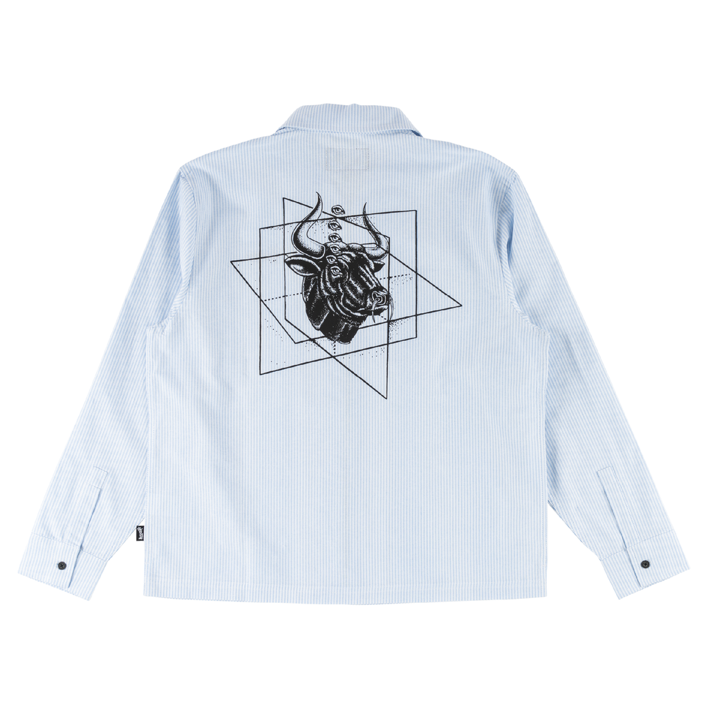 Dimension Printed L/S Oxford Shirt – Welcome Skateboards