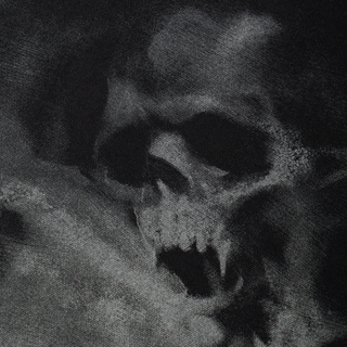 HARRY POTTER X WELCOME - Morsmordre Canvas Harrington Jacket