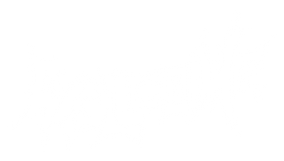 Welcome Skateboards logo