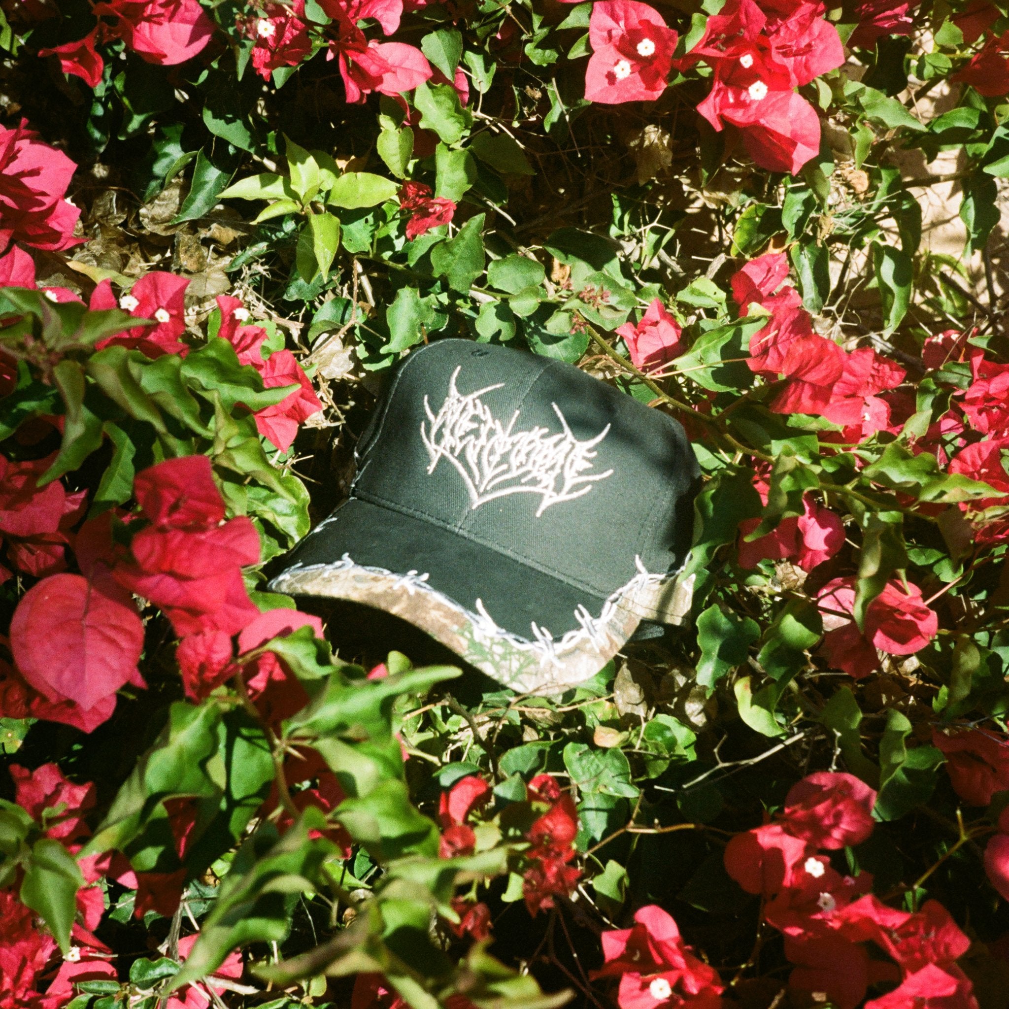Collections – Welcome Skateboards
