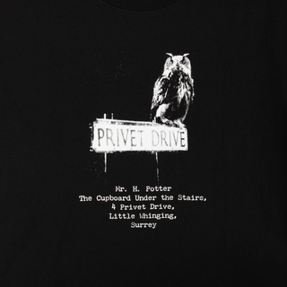 HARRY POTTER X WELCOME - Acceptance Boxy Garment-Dyed Tee