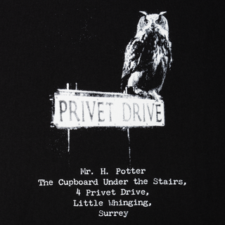 HARRY POTTER X WELCOME - Acceptance Boxy Garment-Dyed Tee