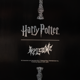 HARRY POTTER X WELCOME - Finale on Boline 2.0 - Black DIp - 9.5"