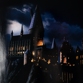 HARRY POTTER X WELCOME - Arrival on Slappy Slap - Black/Gold Foil - 9.75"
